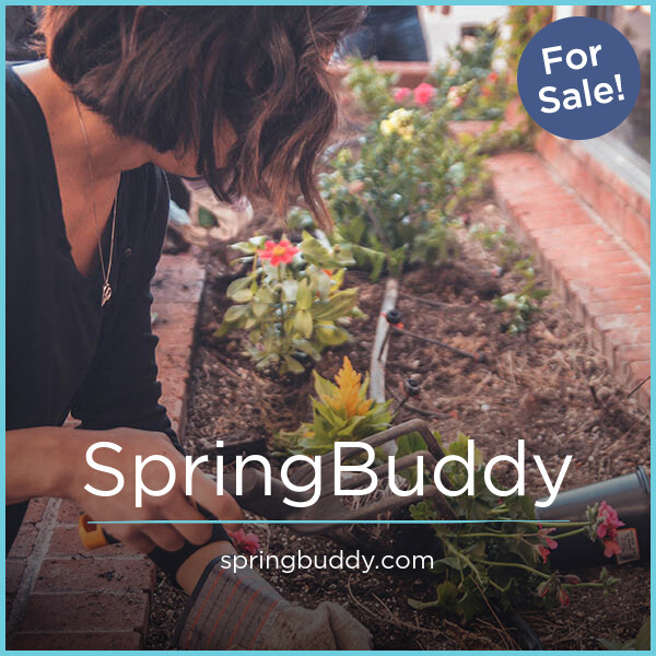 SpringBuddy.com image 2