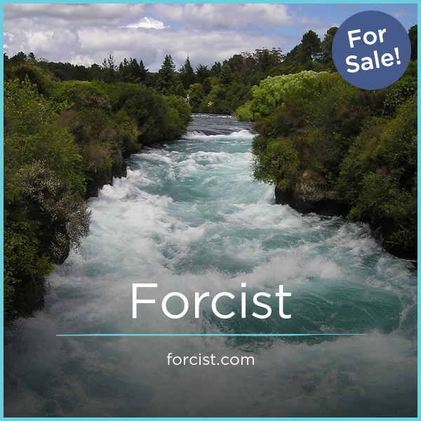 Forcist.com image 2