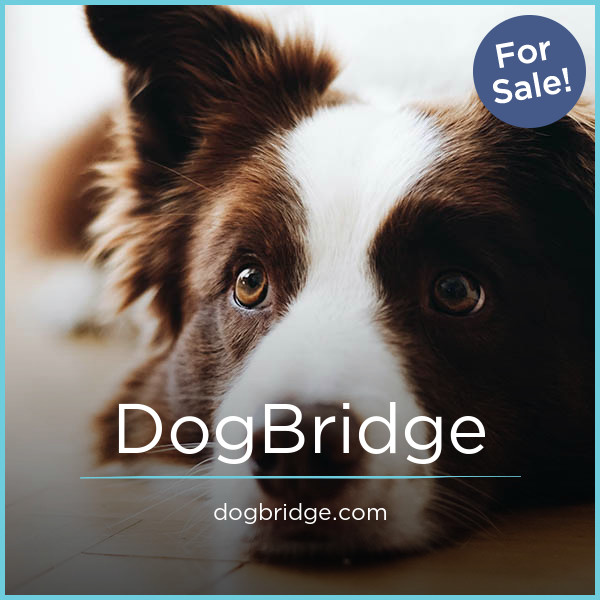 DogBridge.com image 2