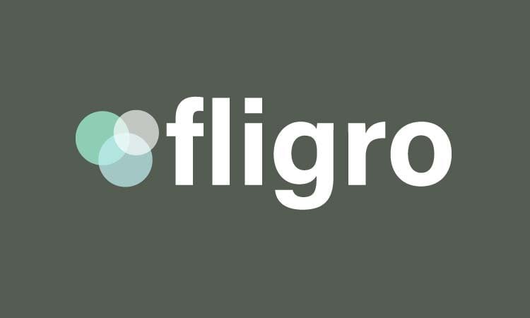 Fligro.com - buy Best premium names