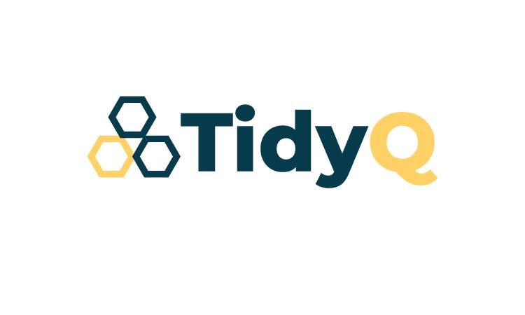 TidyQ logo