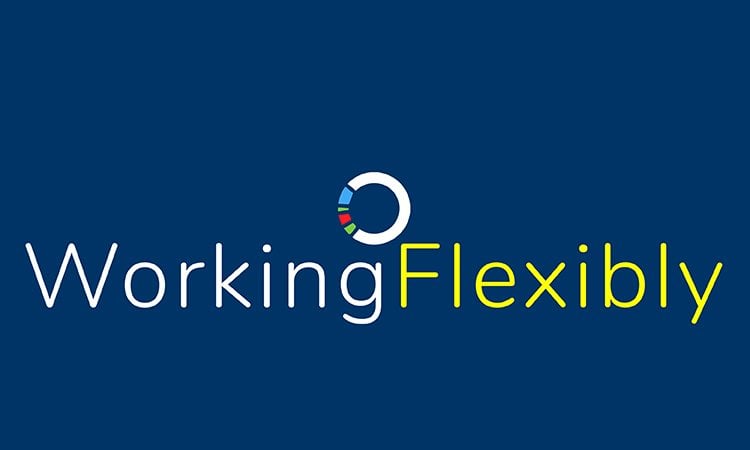 WorkingFlexibly.com - Cool premium domains