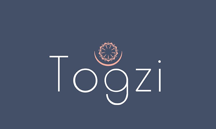 Togzi logo