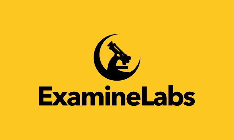 ExamineLabs.com - Good premium domains for sale