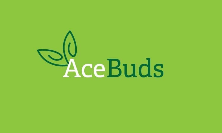AceBuds.com - Creative domains for sale