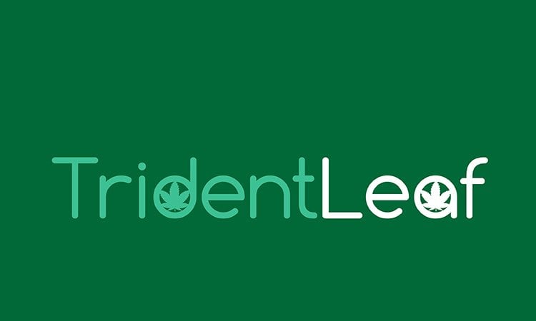 TridentLeaf.com - buying Good premium names
