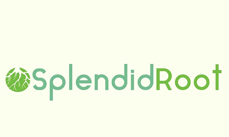 SplendidRoot.com - buy Good premium domains