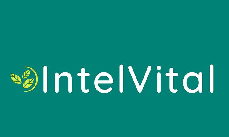IntelVital.com - buying Cool premium names