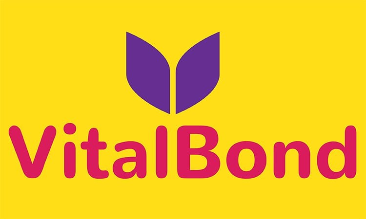 VitalBond.com - Creative premium domain names for sale