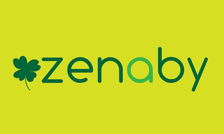 Zenaby.com - Best premium domain names