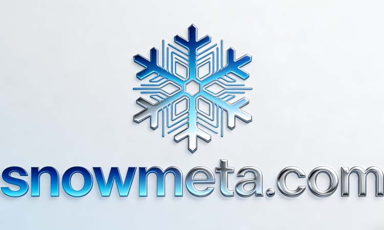 SnowMeta logo