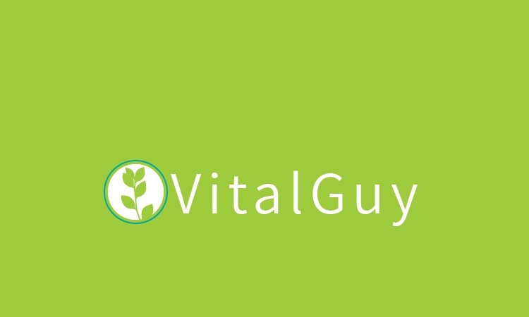 VitalGuy.com - Catchy domains for sale