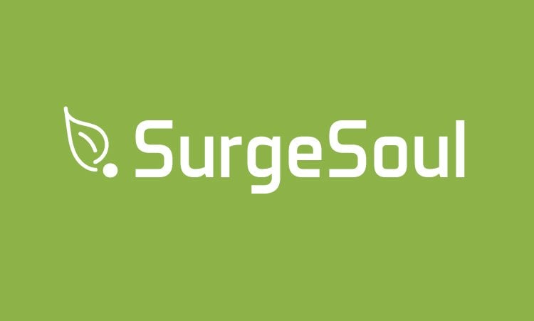 SurgeSoul.com - buy Best premium domains
