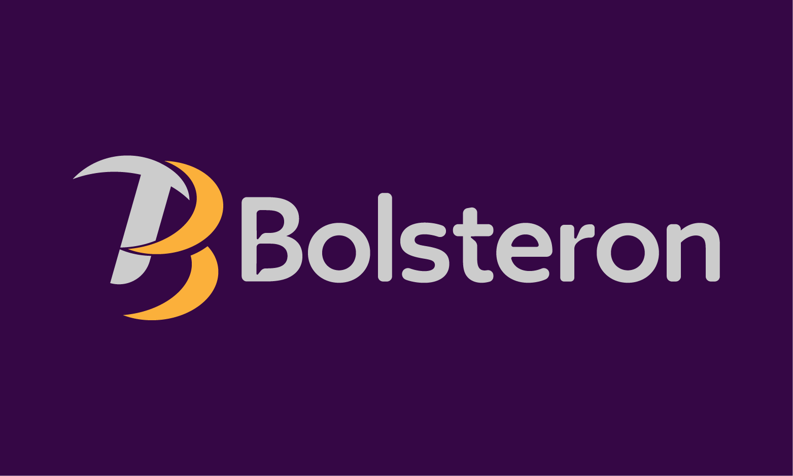 Bolsteron logo