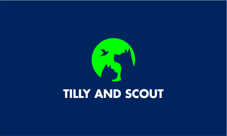 TillyAndScout.com - Creative premium domain names