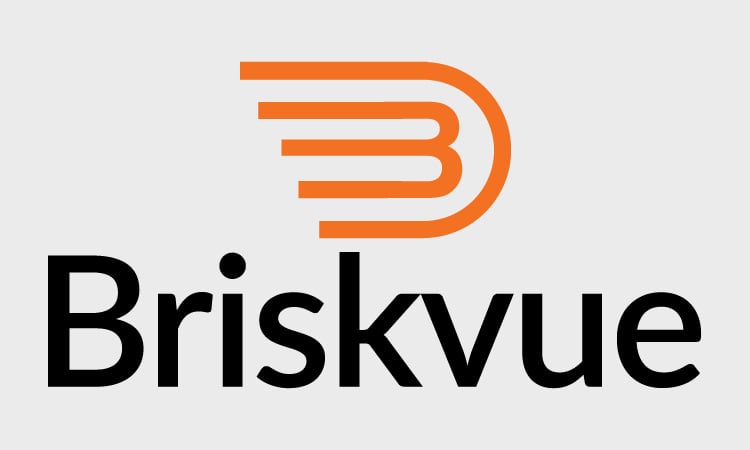 Briskvue.com - Catchy premium domain names