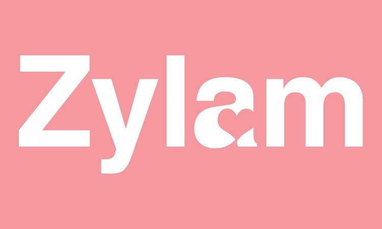 Zylam.com - buy Best premium domains