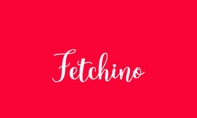 Fetchino.com - buying Catchy premium names