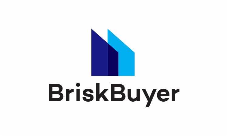 BriskBuyer.com - New premium domains for sale