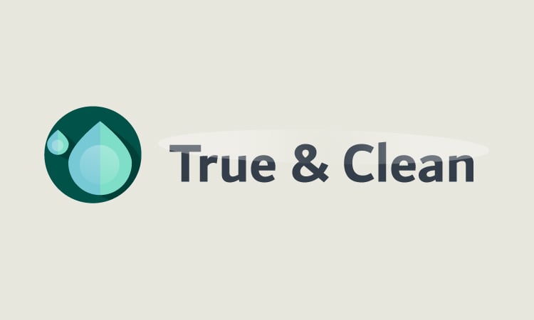 TrueAndClean.com - New domains for sale