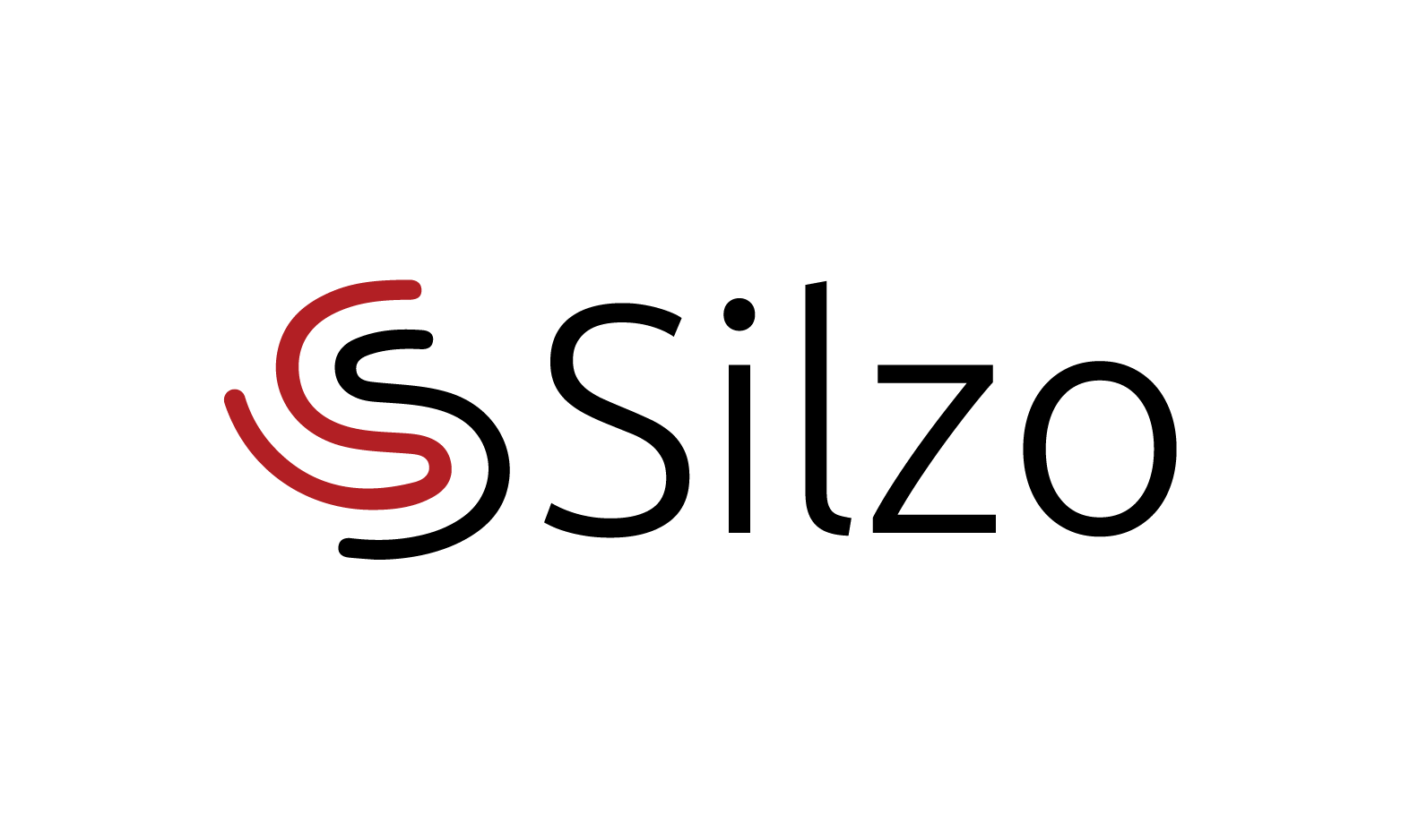 Silzo.com - Catchy premium names