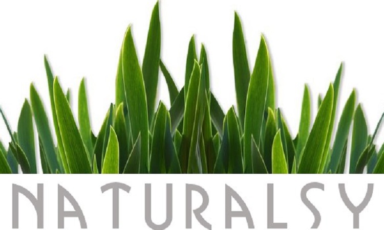 Naturalsy logo