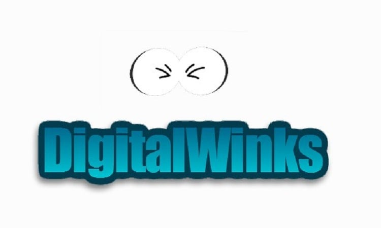 DigitalWinks logo