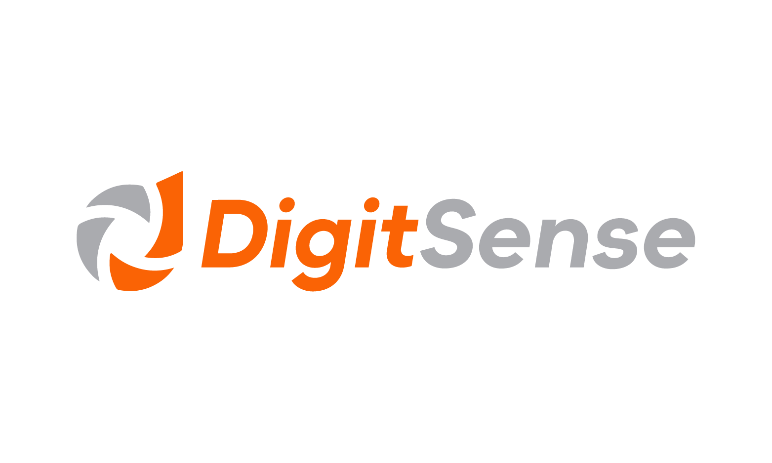 DigitSense logo
