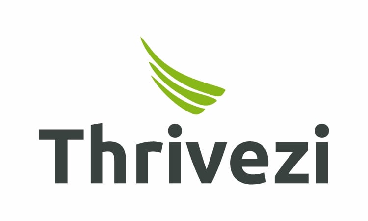 Thrivezi.com - Cool premium domains