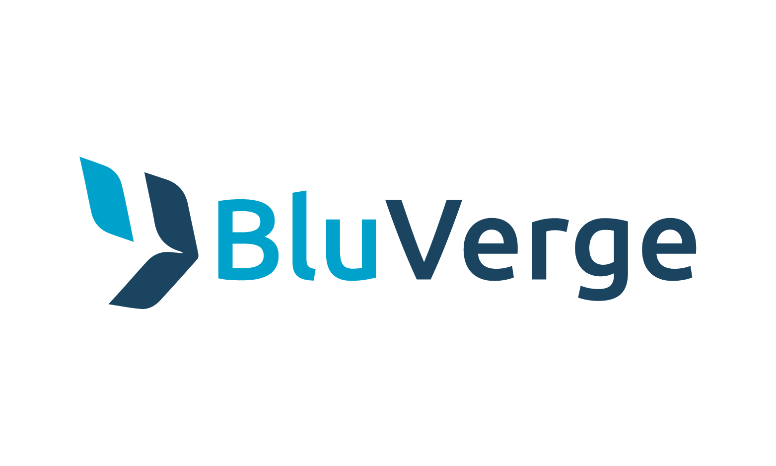 BluVerge logo