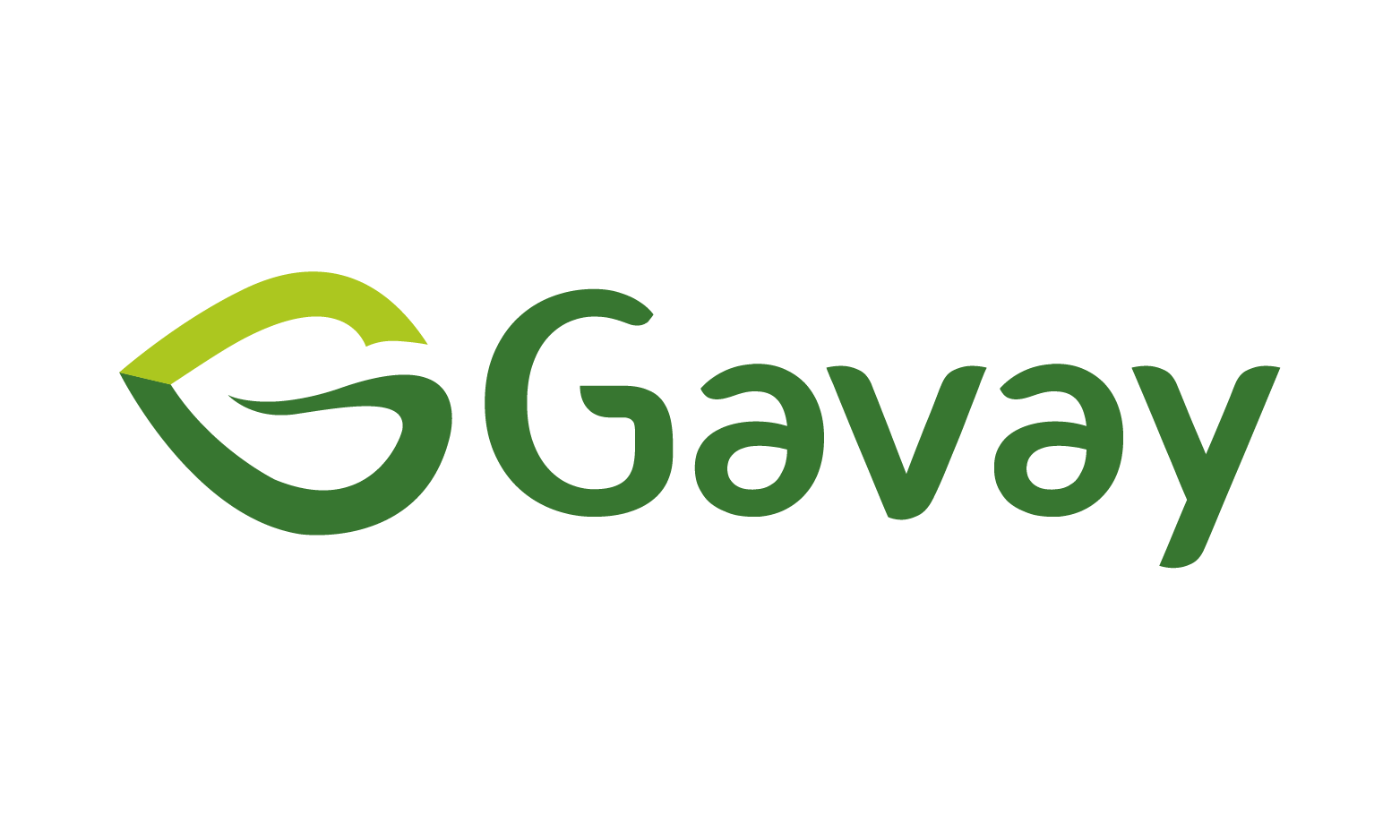 Gavay.com - buying Catchy premium names