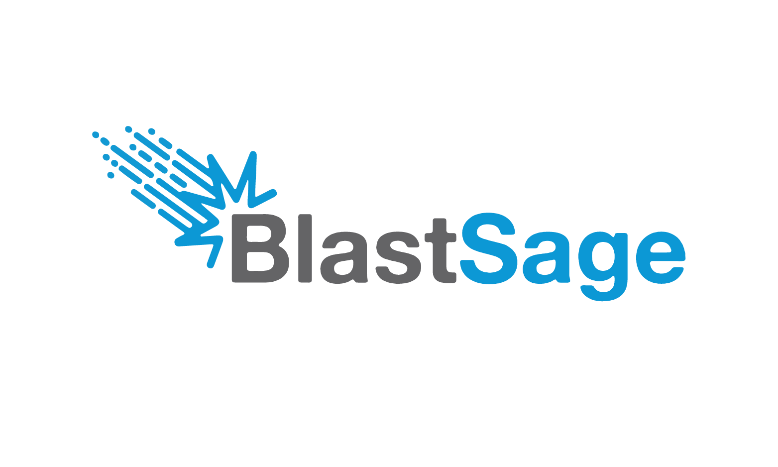 BlastSage.com - Catchy premium names