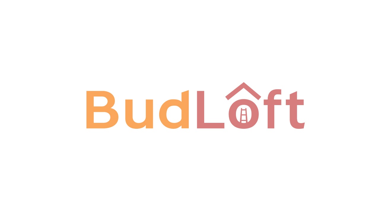 BudLoft.com - Cool domains for sale