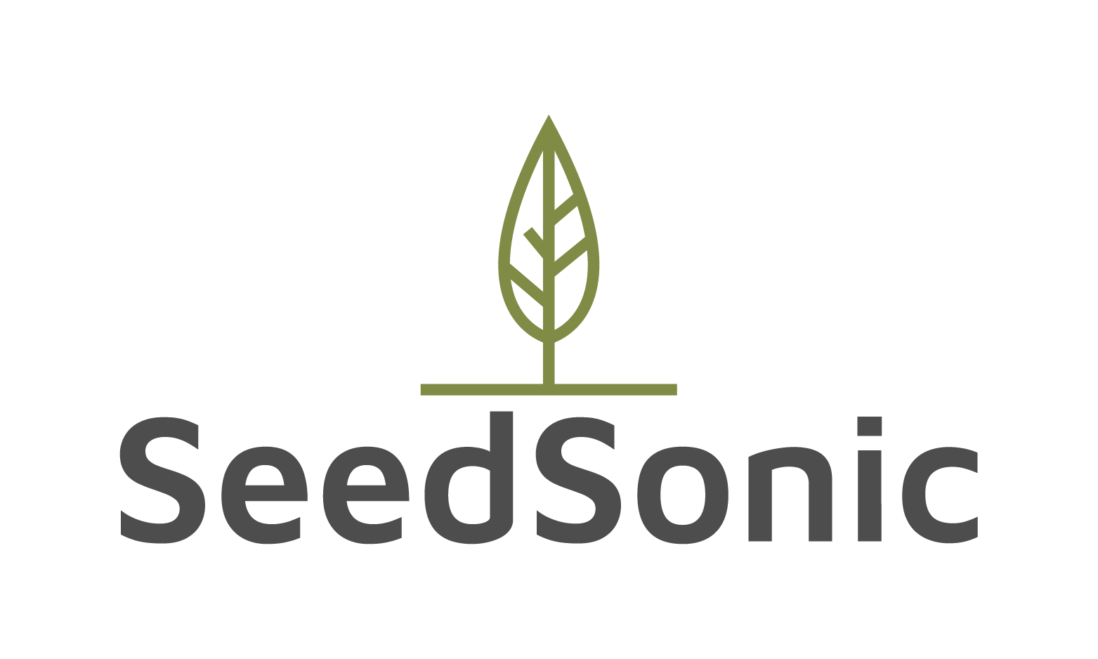 SeedSonic.com - Catchy premium names