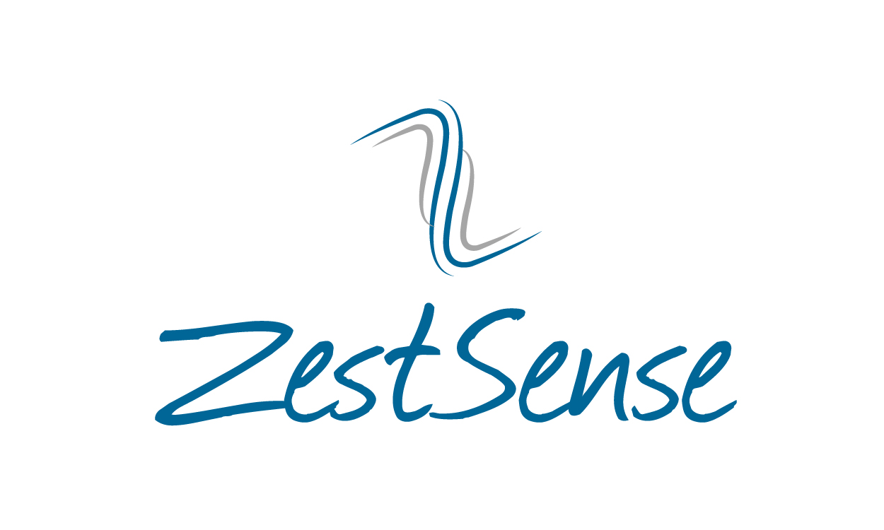 ZestSense.com - Best premium domain names