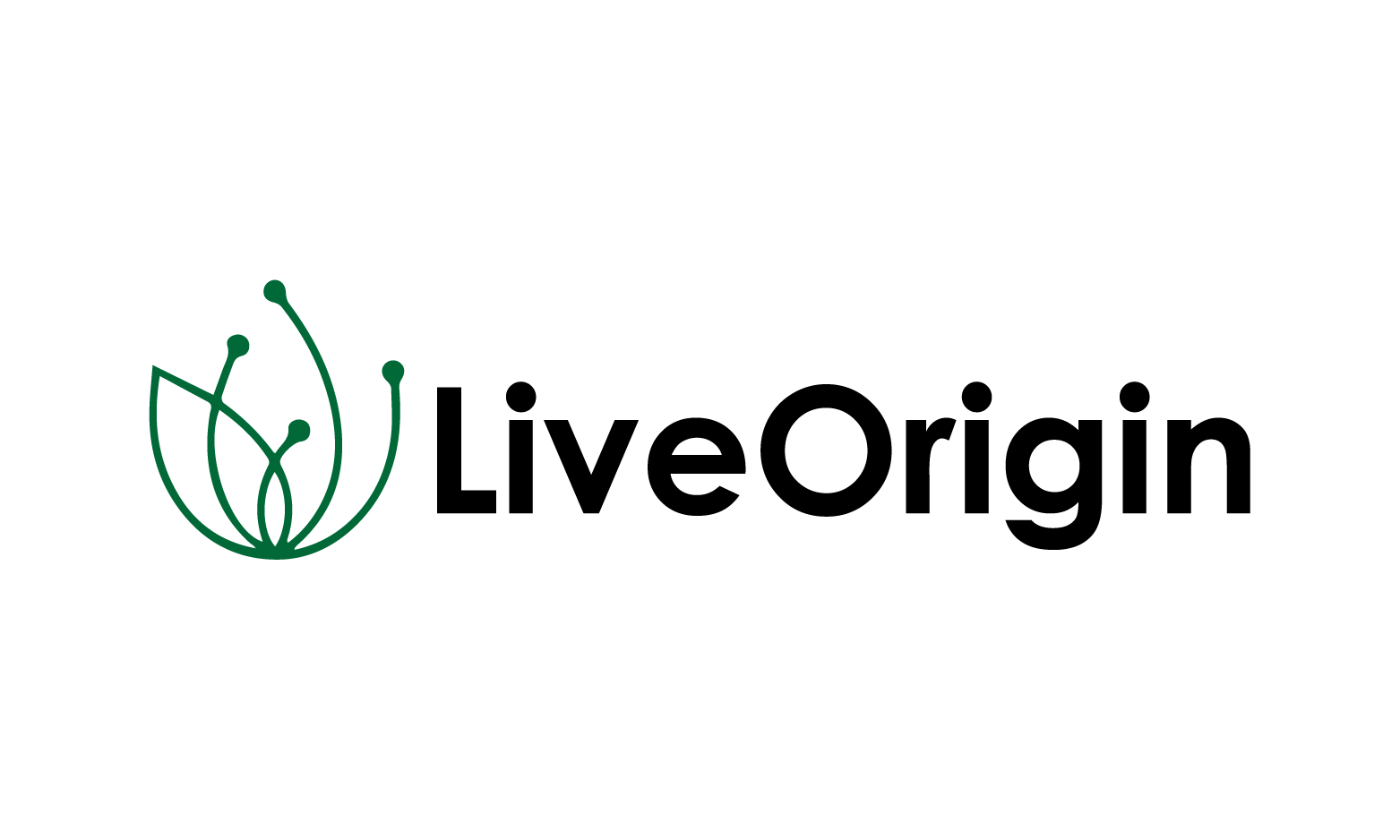 LiveOrigin logo