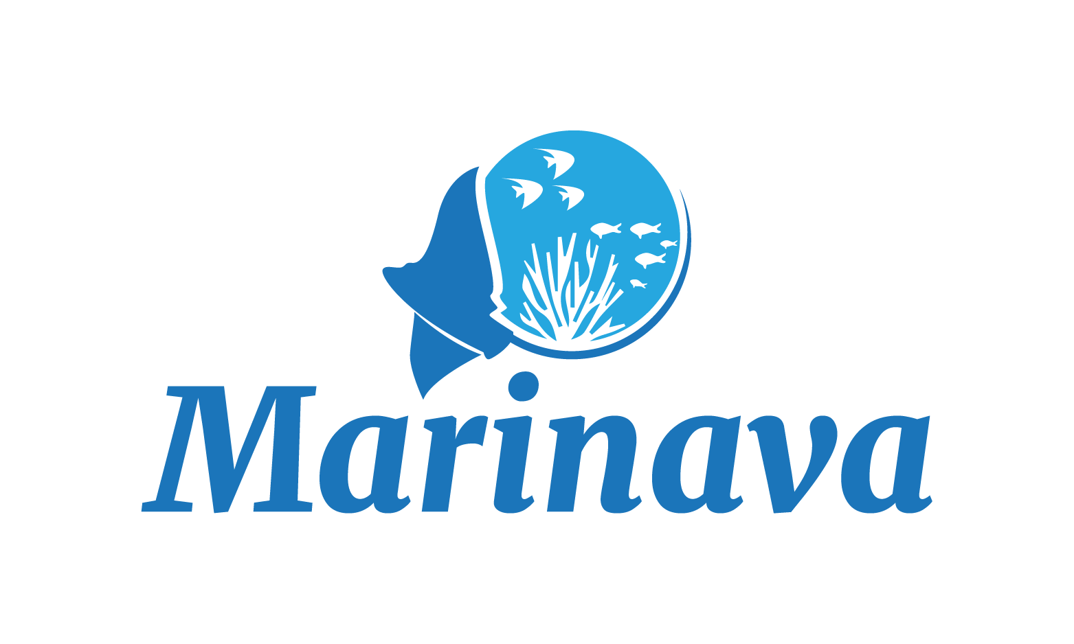 Marinava.com - Good premium domain marketplace