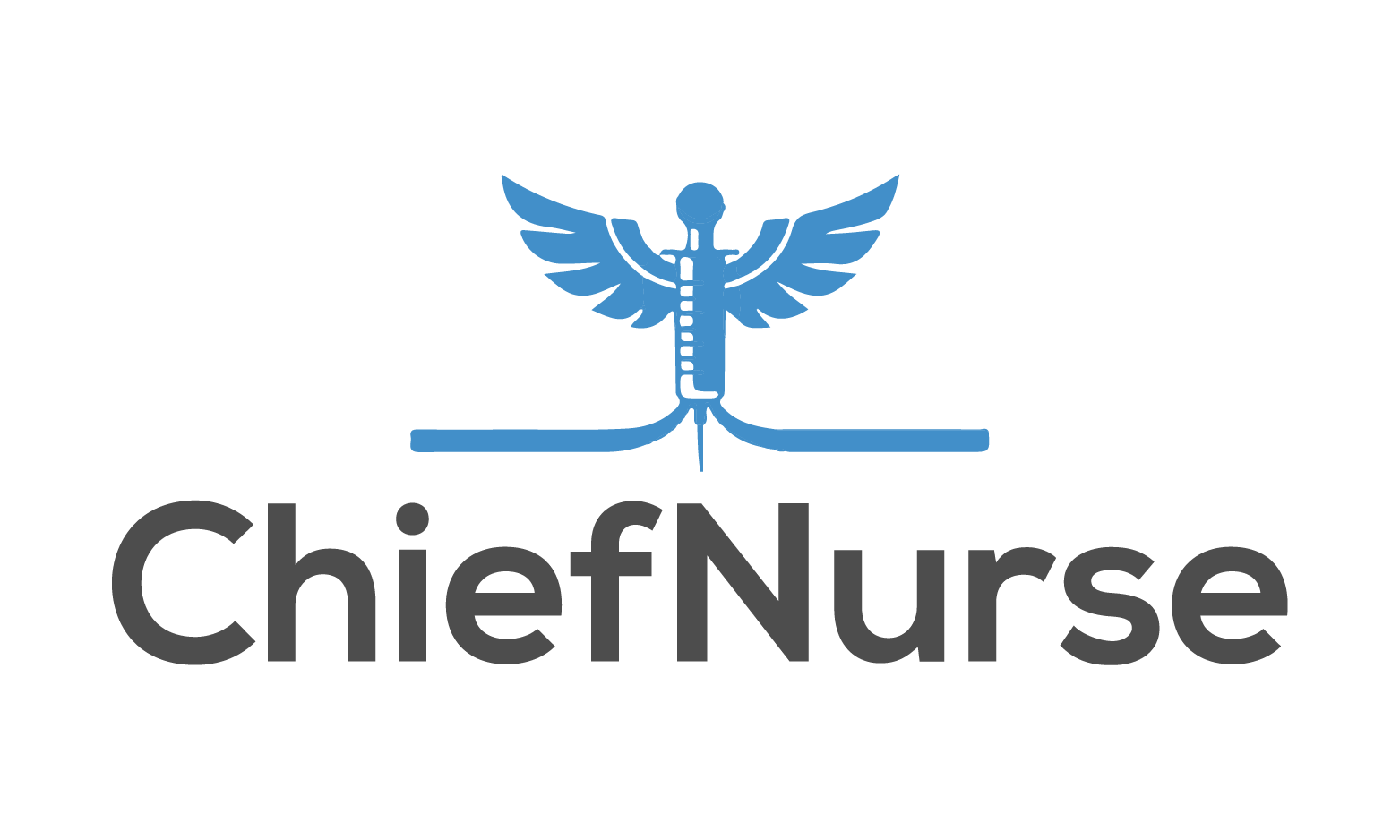 ChiefNurse.com - Creative premium domain names for sale