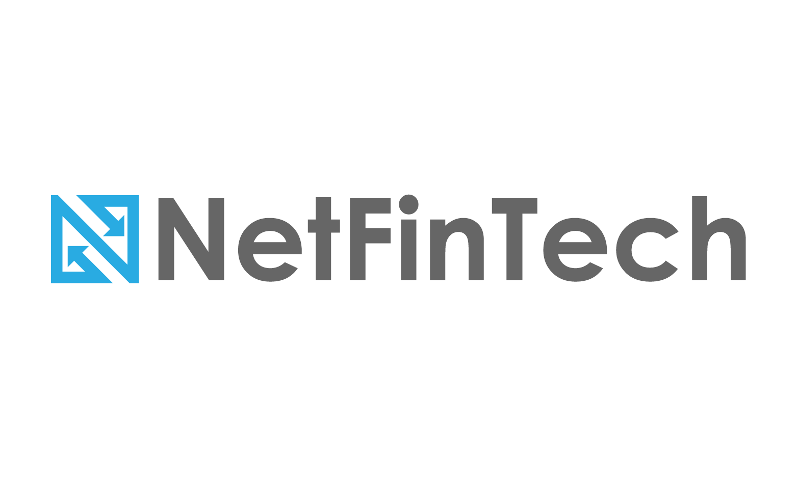 NetFinTech.com - New premium domain names
