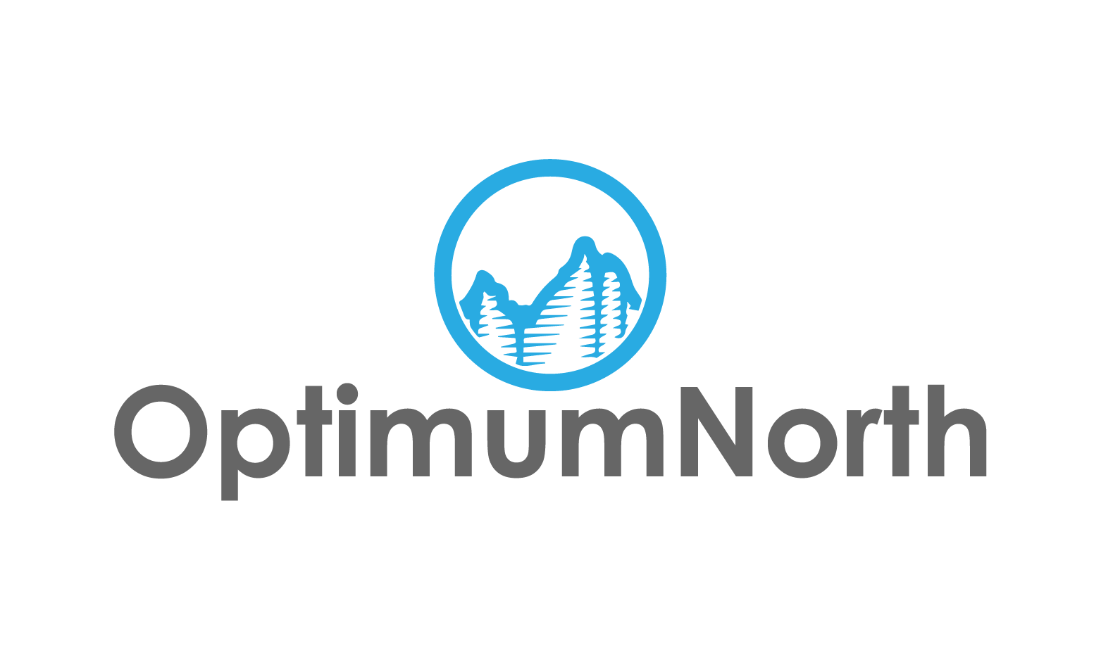 OptimumNorth.com - Cool premium domain names