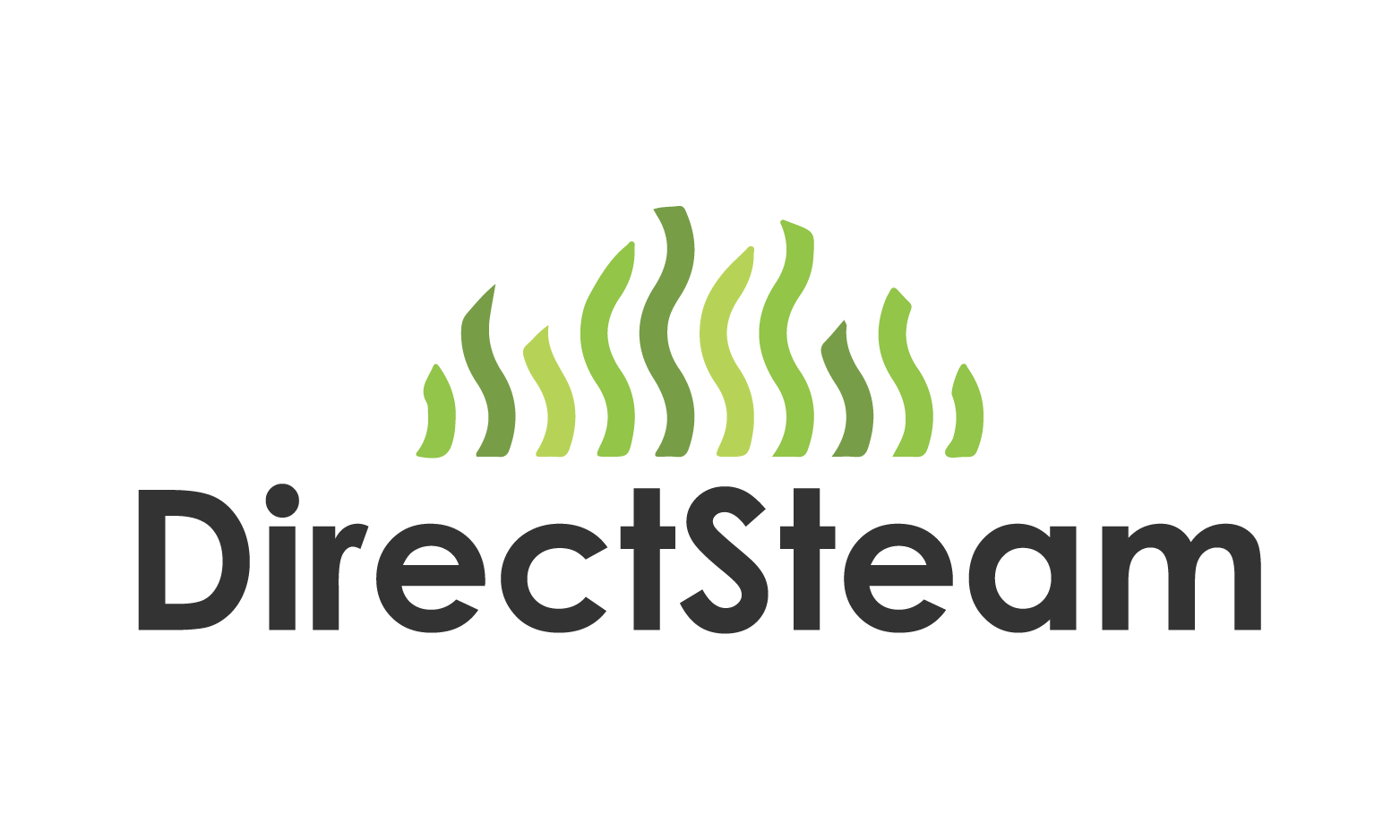 DirectSteam.com - Creative premium domain names