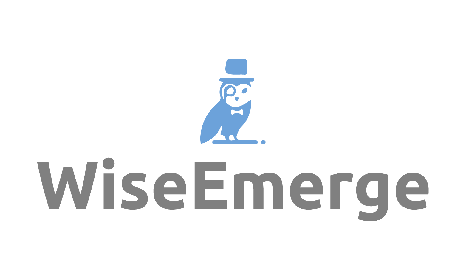 WiseEmerge.com - Catchy premium domain names