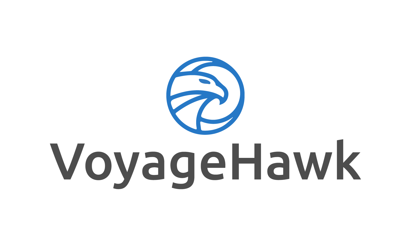 VoyageHawk.com - Creative premium domains