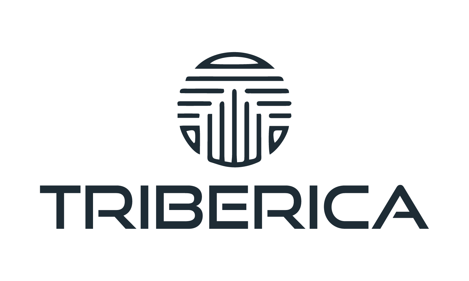 Triberica.com - New premium domain names