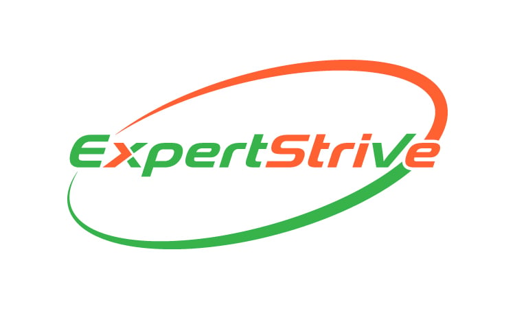 ExpertStrive logo