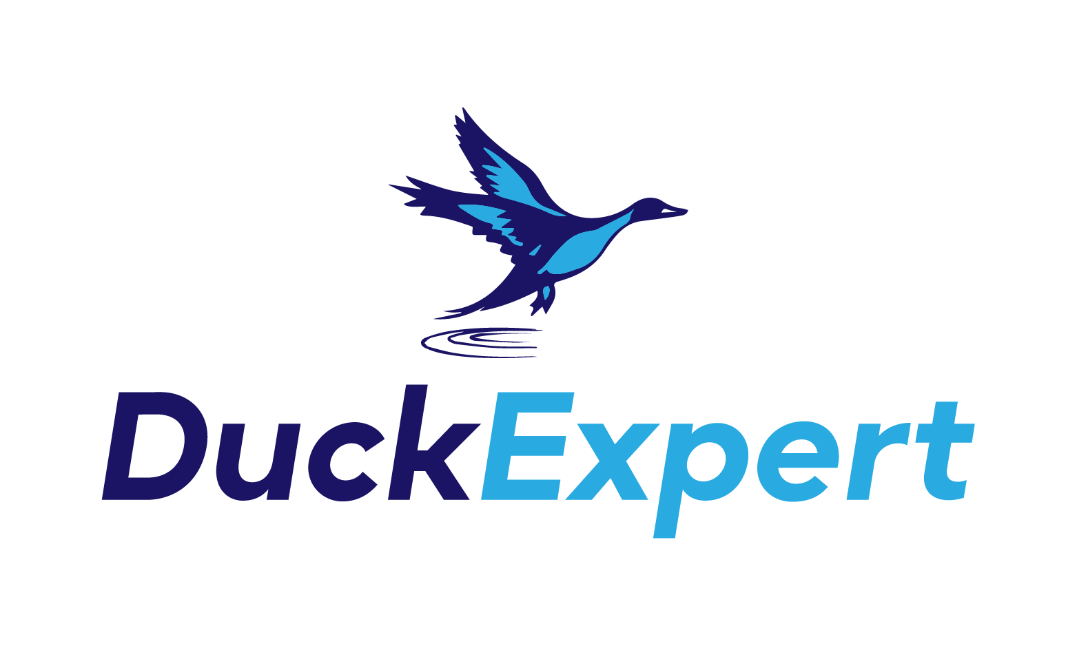 DuckExpert.com - Catchy domains for sale