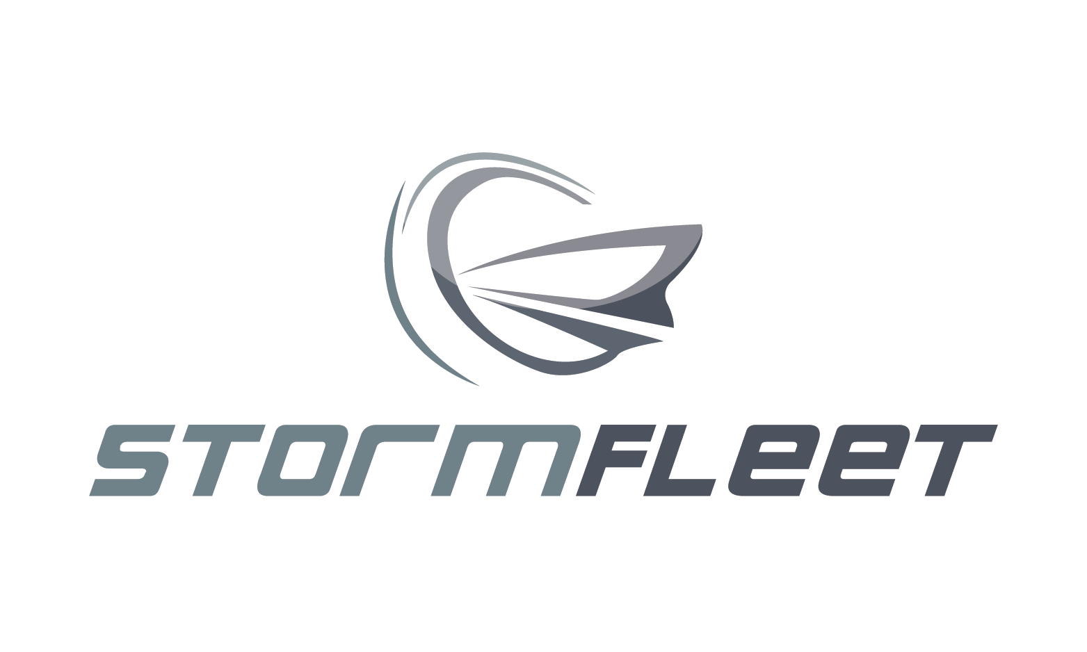 StormFleet logo