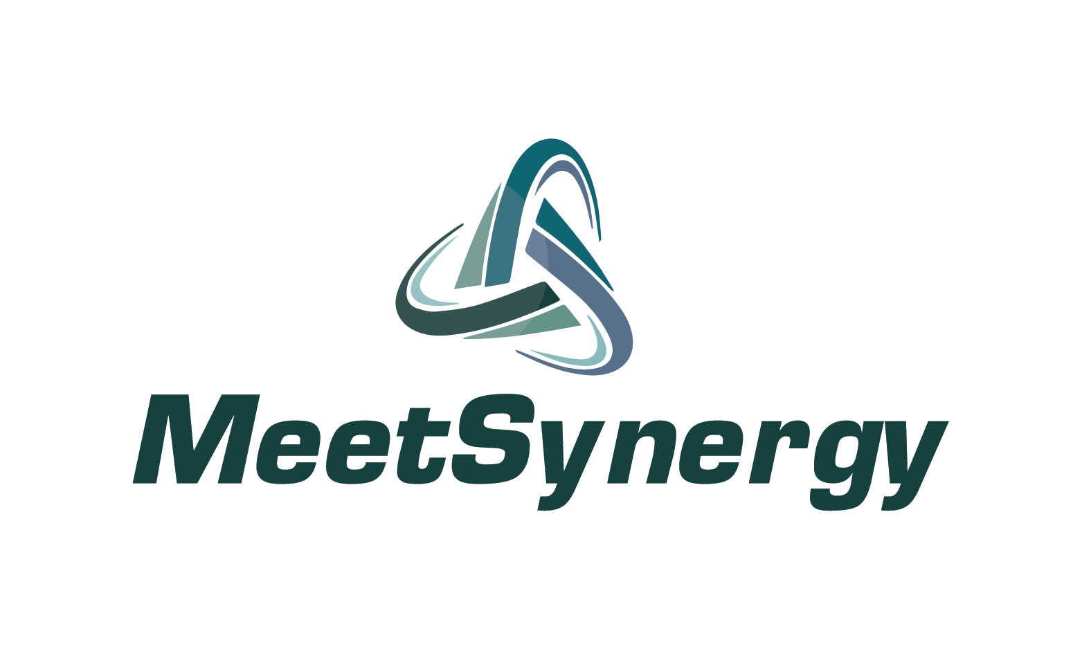 MeetSynergy logo