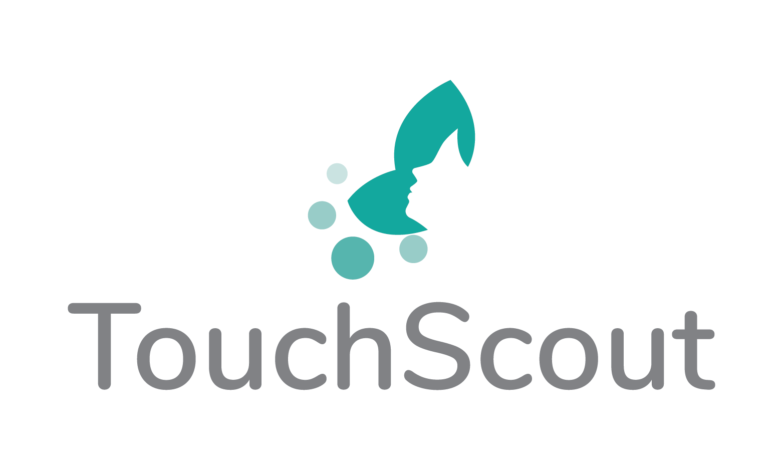 TouchScout logo