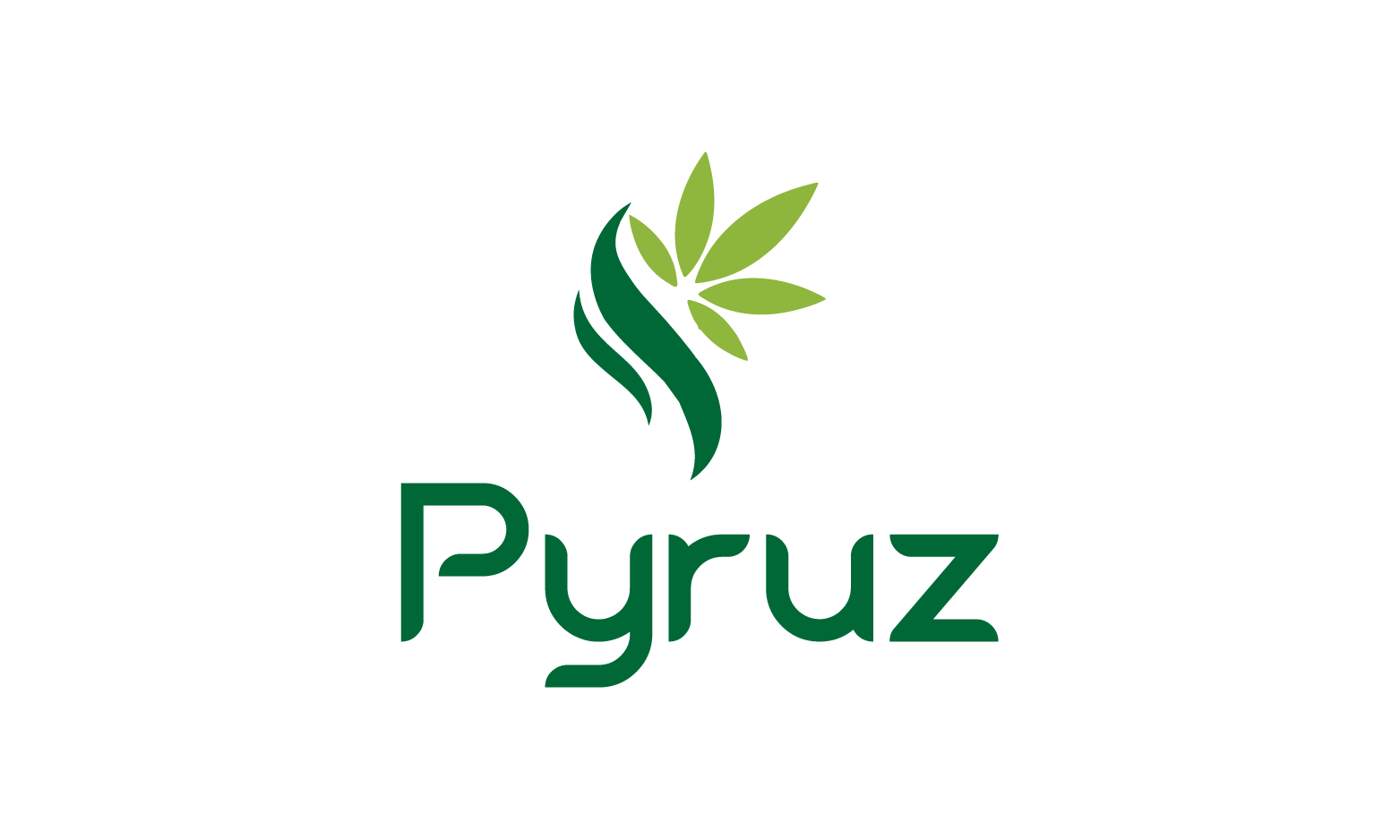 Pyruz.com - Cool premium domains